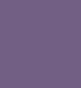 Lavender Flowers