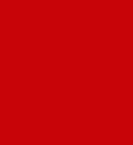 Red Flowers
